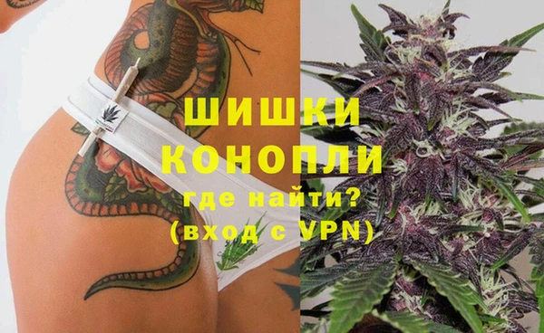 амф Дмитров