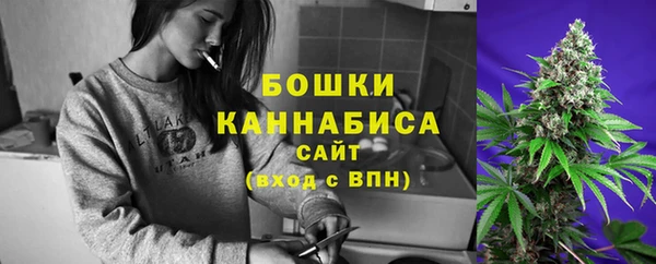 амф Дмитров