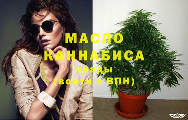 амф Дмитров