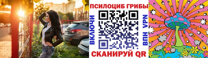 Купить  Чернушка  Галлюциногенные грибы GOLDEN TEACHER 